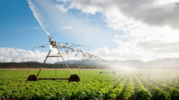 Agriculture
